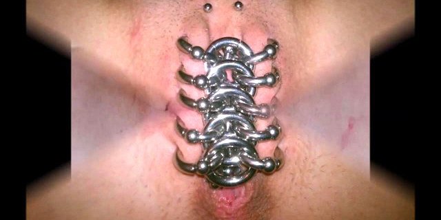 Canine reccomend heavily pierced pussy